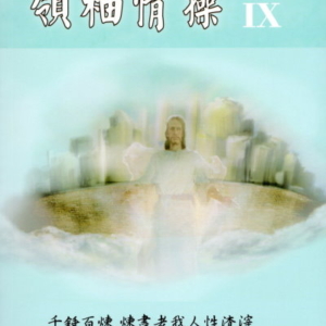 領袖情操IX