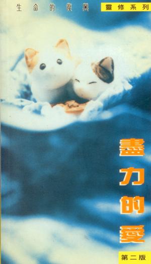 盡力的愛(靈修系列48)