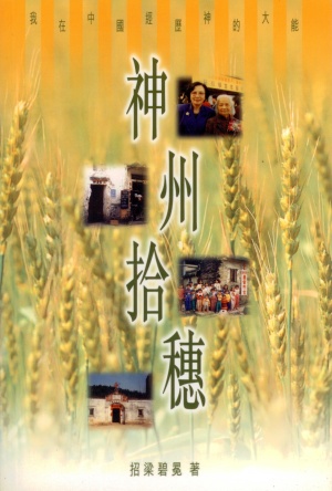 神州拾穗–我在中國經歷神的大能