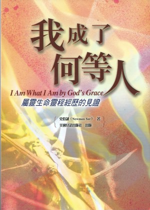 我成了何等人