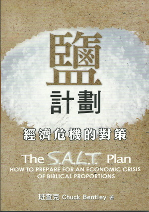 鹽計畫–經濟危機的對策
